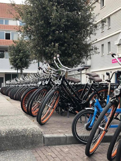 Welkom In Dekreek V59, Dem Freundlichen Ferienhaus Bruinisse Buitenkant foto